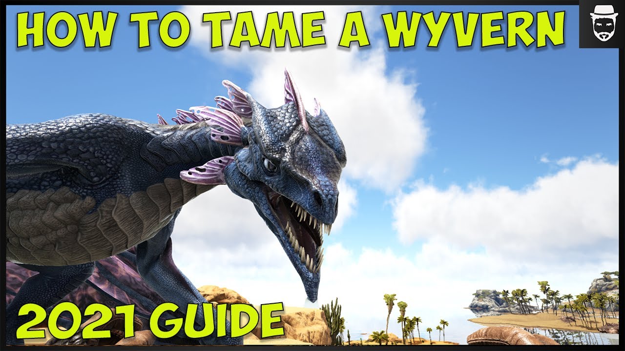 How to tame a wyvern easy ( 2021 Guide )