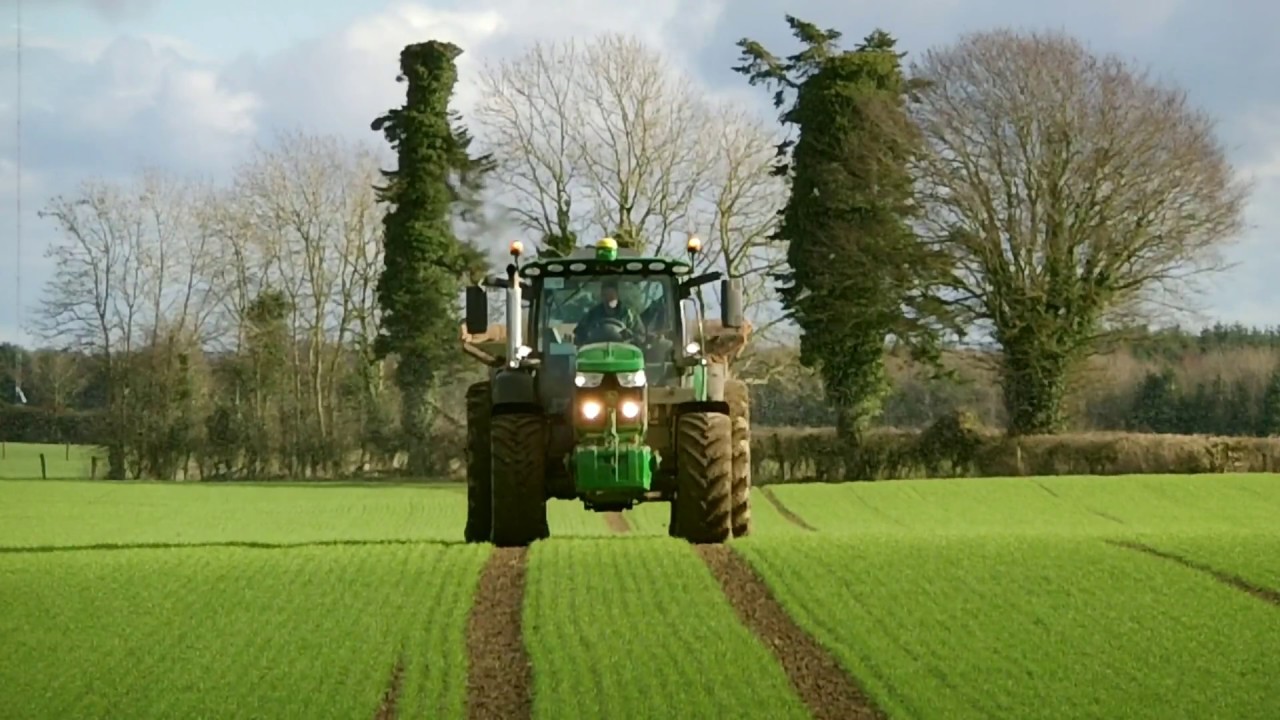 Lisbeg Farms - January & February 2017