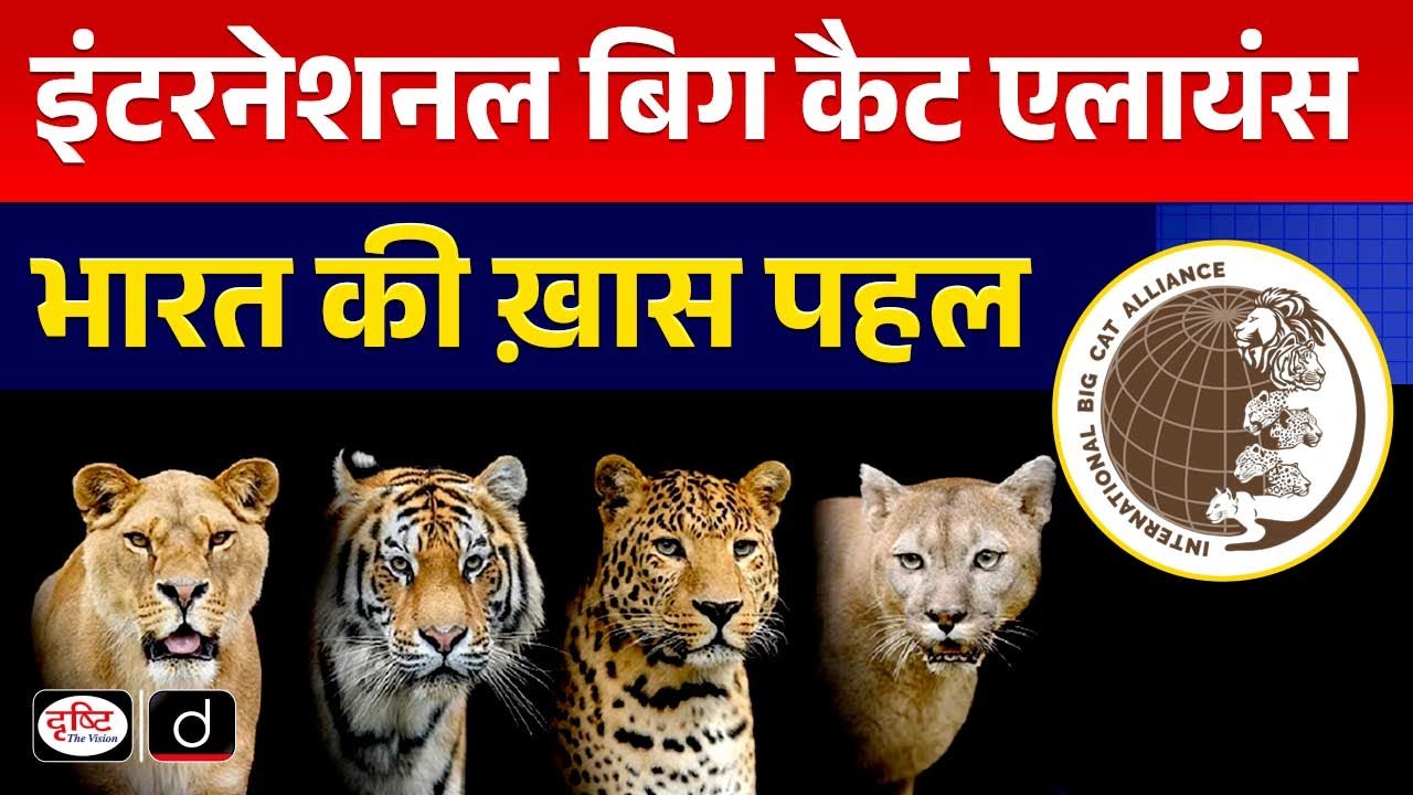 International Big Cat Alliance | InDepth | UPSC | Drishti IAS