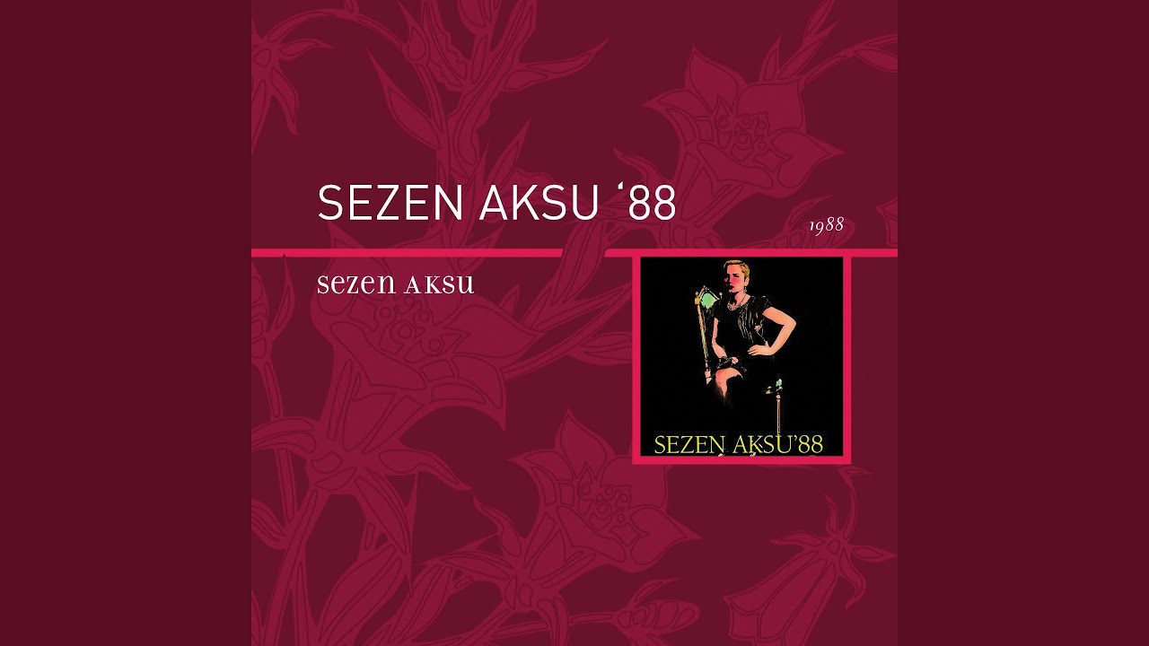 Bir Çocuk Sevdim