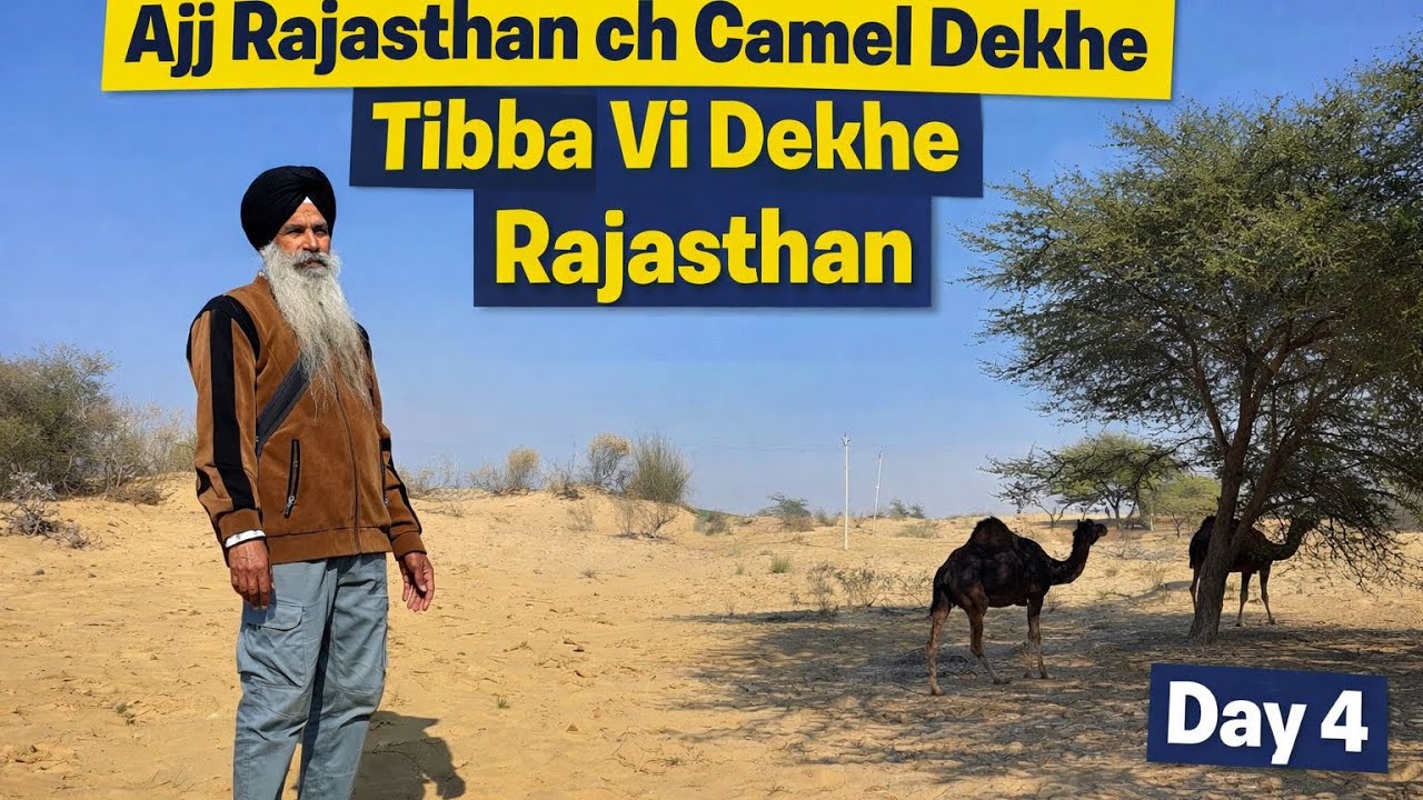 ਰਾਜਸਥਾਨ ਦੇ ਟਿੱਬਿਆਂ ਦੀ ਸ਼ਹਿਰ         Day4The City of Dunes in Rajasthan  #rajsthan  #rajasthan #camel