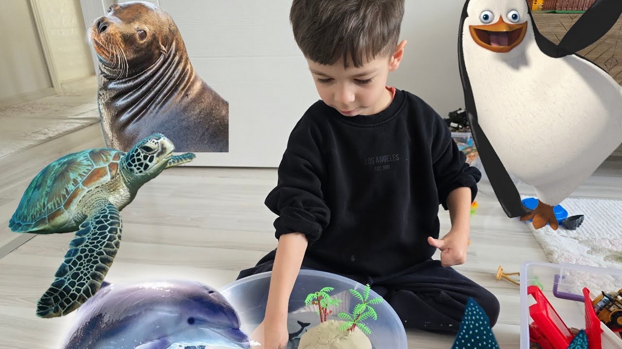 Ege Deniz Canlıları için Okyanus Yaptı 🦈🪼🐟🦭🐬🐳🐋☺️☺️