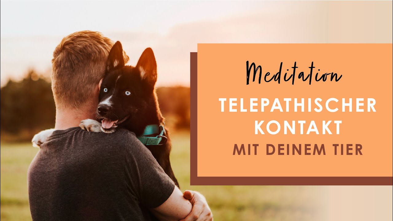 Telepathischer Kontakt mit deinem Tier - Gef&uuml;hrte Meditation | 13 Minuten | Tierkommunikation