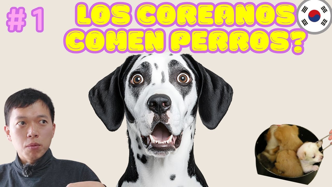¿Los coreanos comen perros?