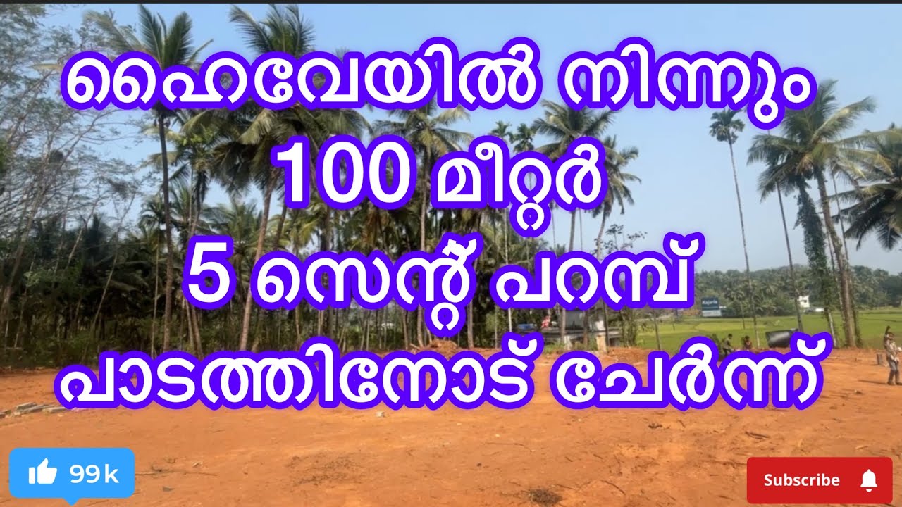#പാലക്കാട് ജില്ലയിൽ കോങ്ങാട് പഞ്ചായത്തിൽ #lowbudjet #palakkadproperties #realestate 