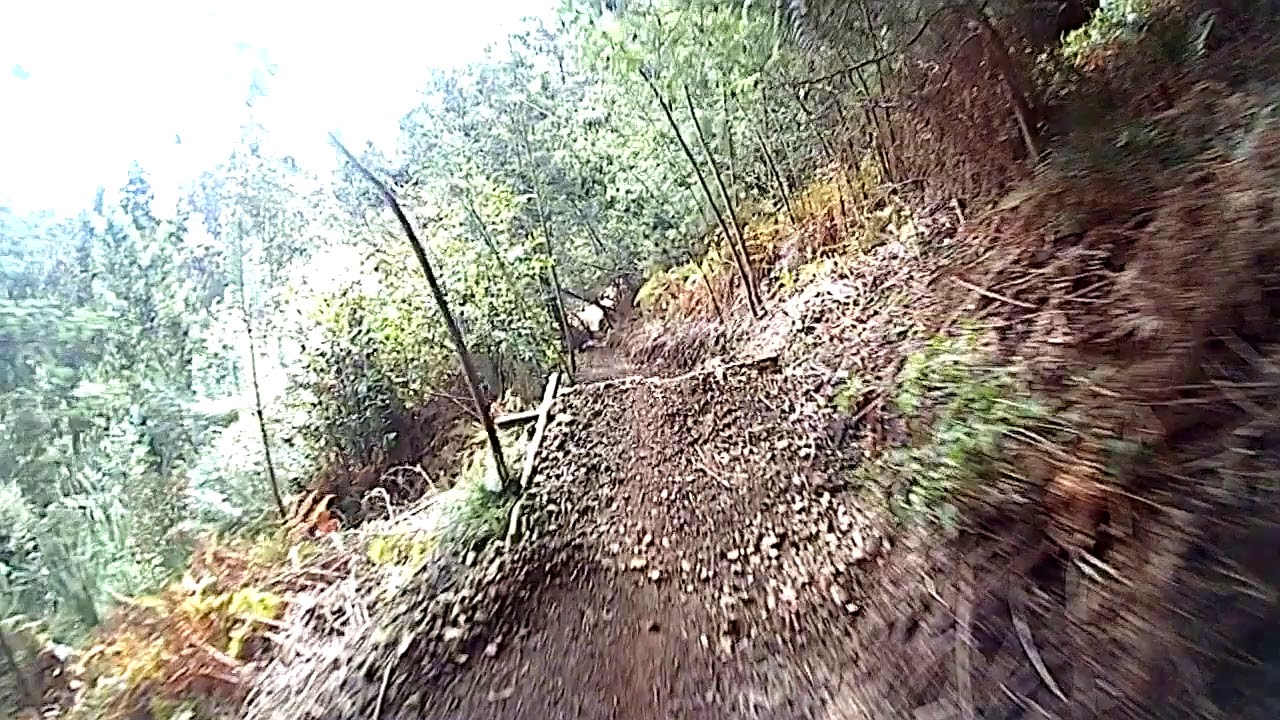 New Trail Madeira Island MTB DH