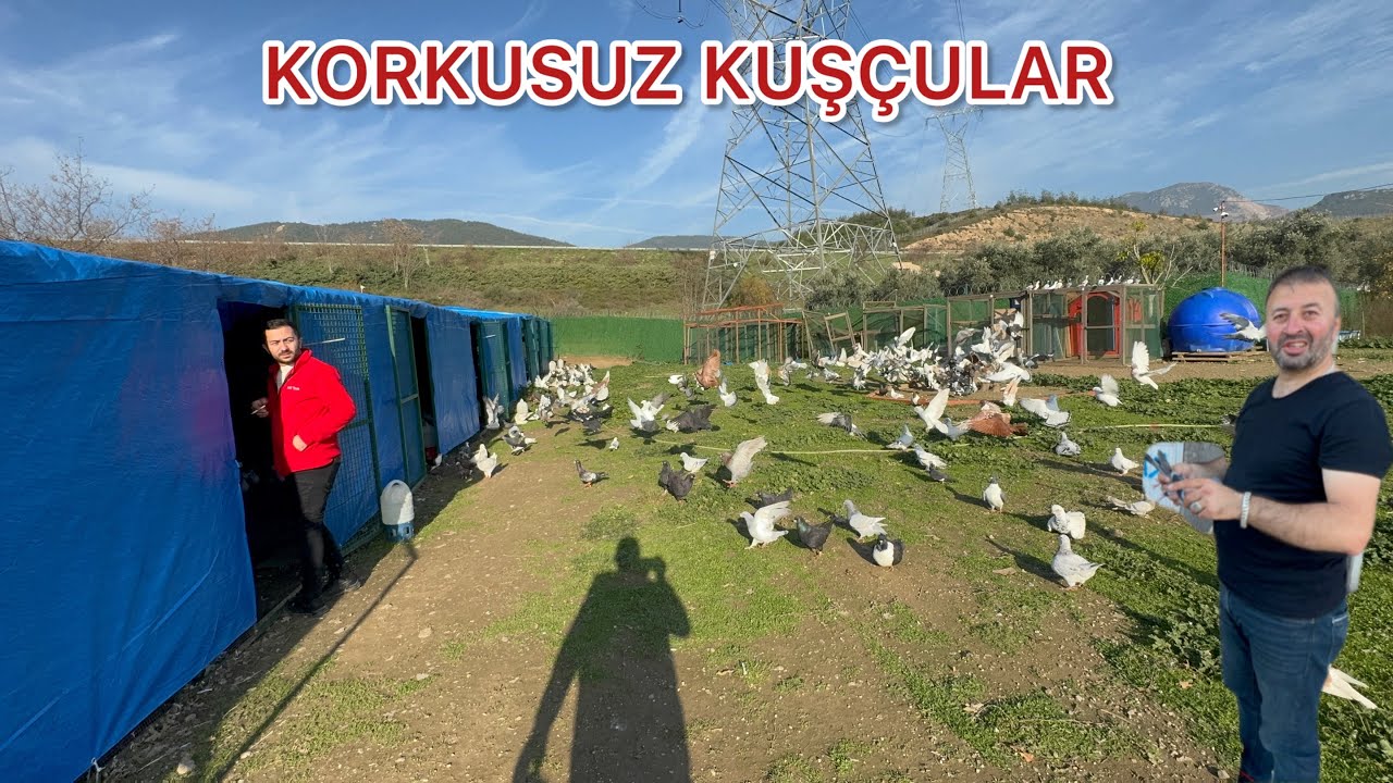 GEÇEN HAFTA YAYINLADIĞIMIZ HIZLI KUŞLARIN HEPSİ HAVADA   YAPARSA BU DELİLER YAPAR BÖYLESİNİ