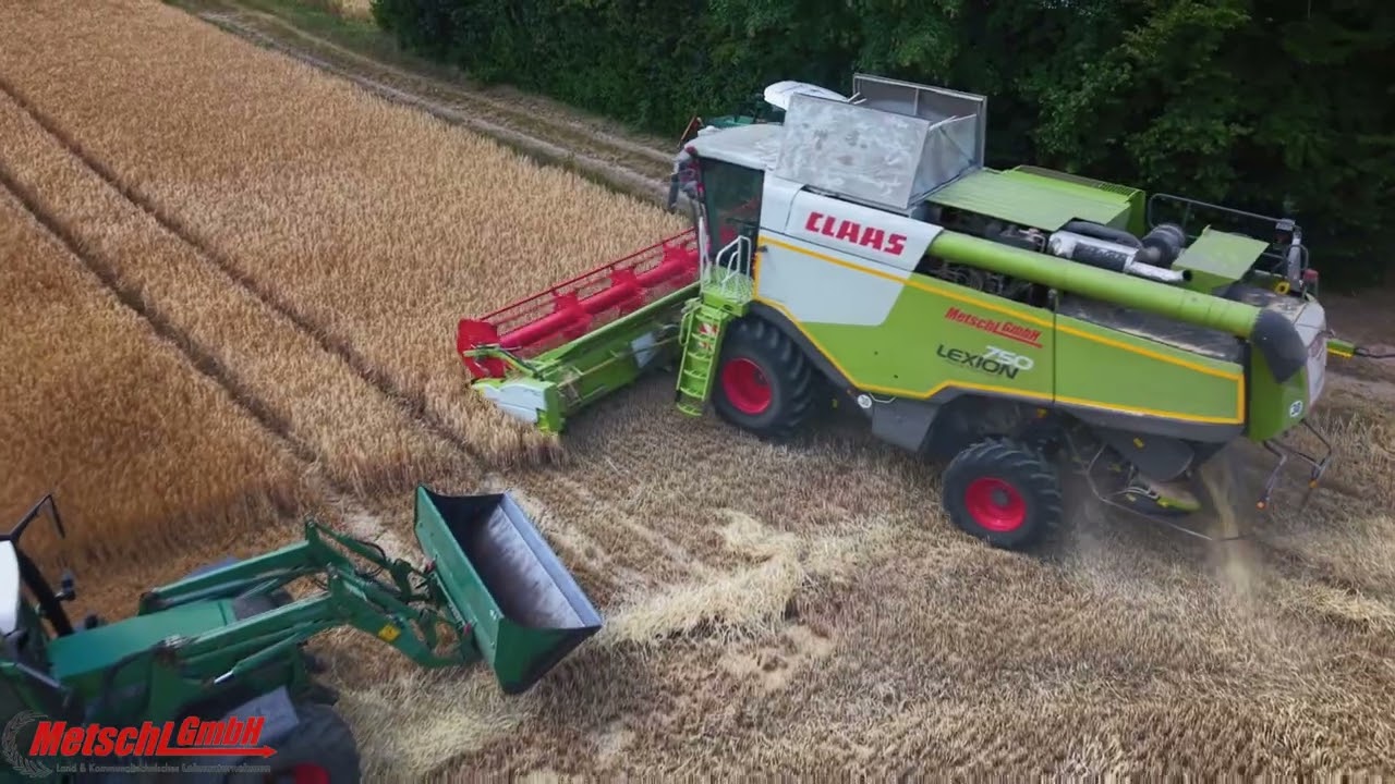 Getreideernte 2025 / Claas Lexion 750