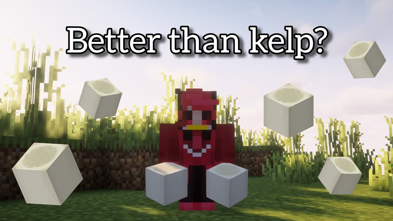How much money do bone blocks make on the Donut SMP 