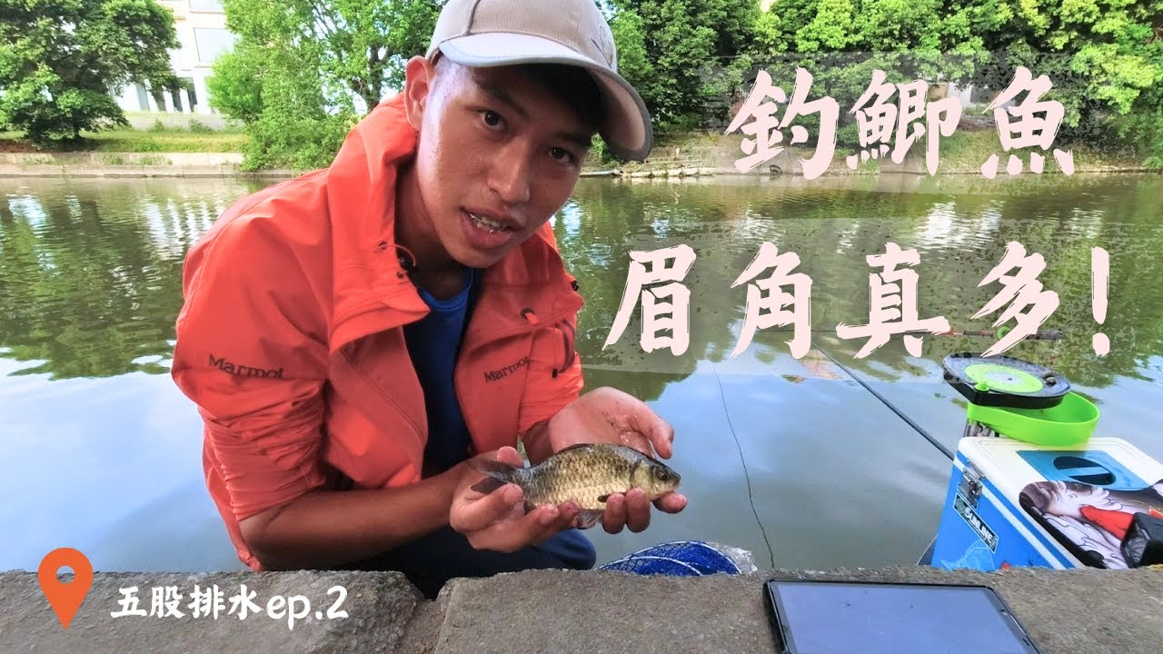 釣個鯽魚怎麼那麼難? 眉角全解析! ｜五十二甲濕地-五股排水ep.2｜