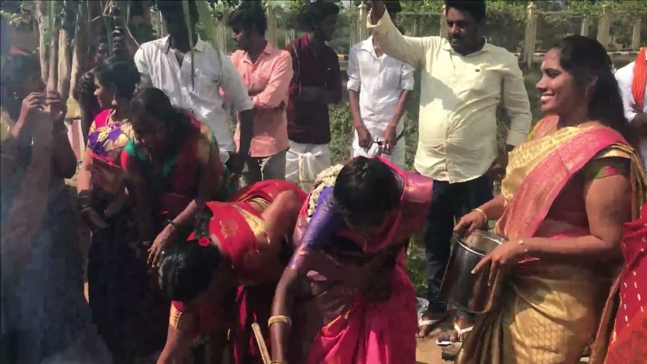 Pongal Celebrations in Sudharsan College