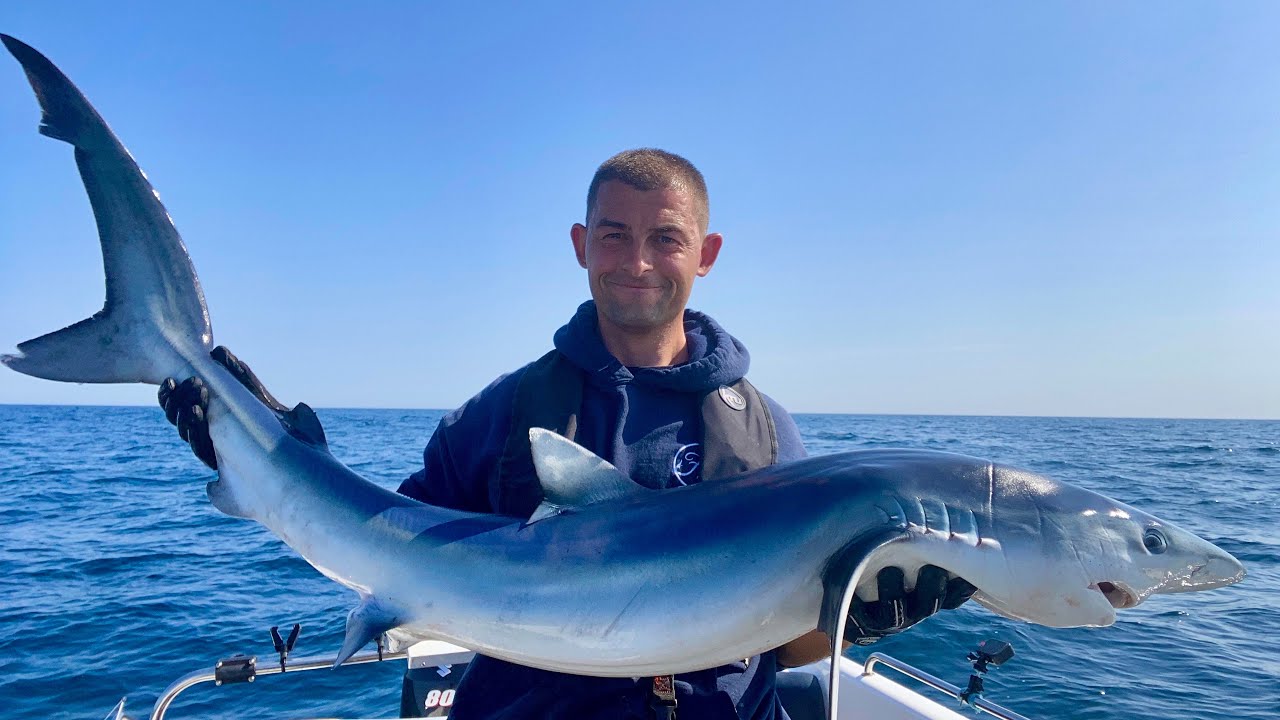 SHARK FISHING UK - Catching Sharks with Rubber Ducks! Plus AMAZING Wildlife footage| The Fish Locker