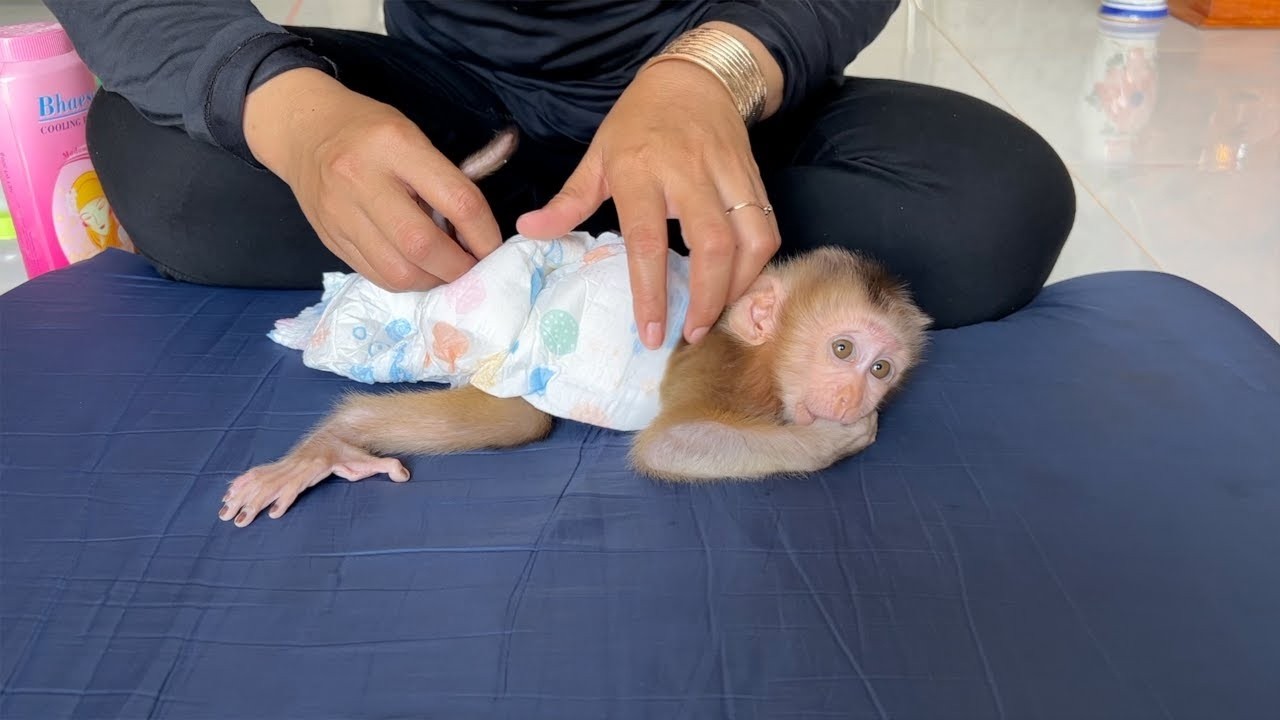 This's Obedient Time For Lil Katy Sleep For Mom Change Diaper