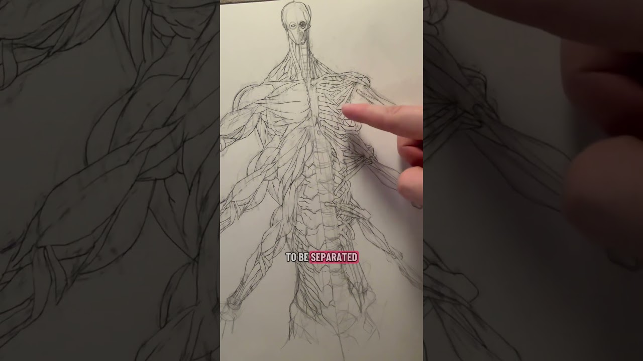 Как бы работало наличие шести рук? #искусство #художник #fyp #наука #фэнтези