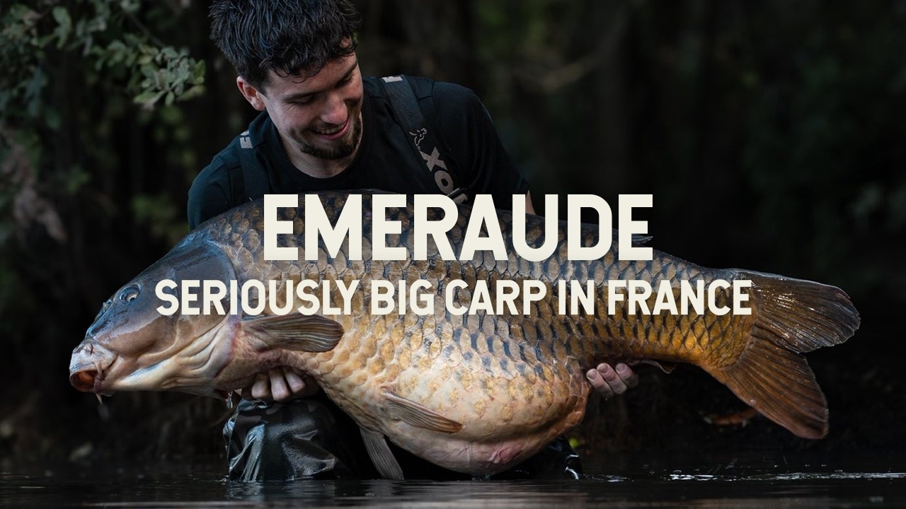 Big Carp in France at Emeraude