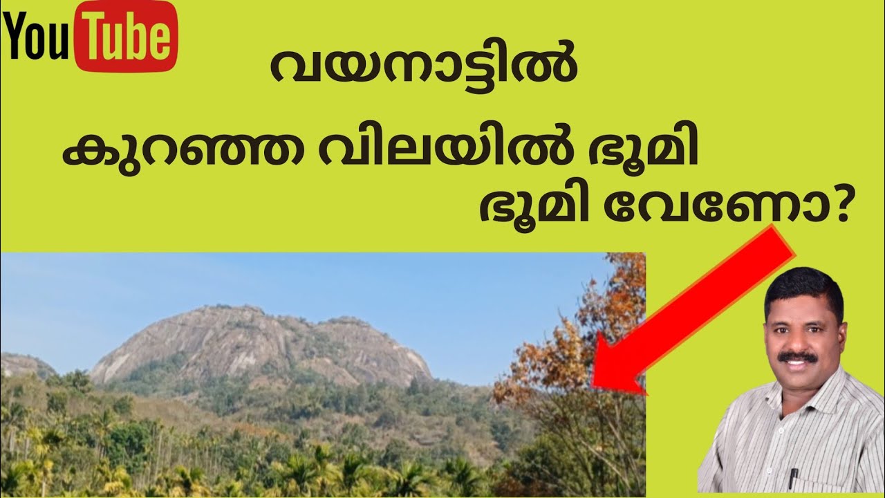 വില കുറവിൽ 17 സെൻ്റ് ഭൂമി വേണോ?