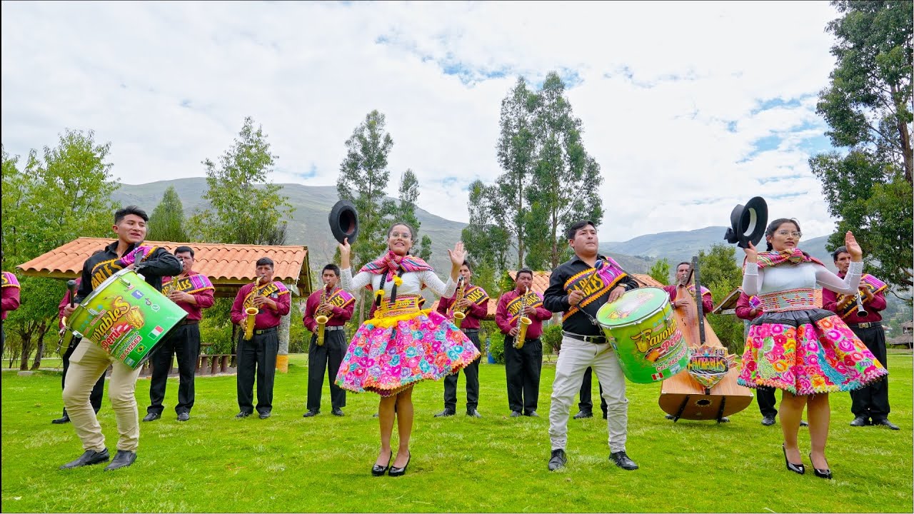 Primicia mix santiago 2025 / Orquesta Internacional Favorables del Perú