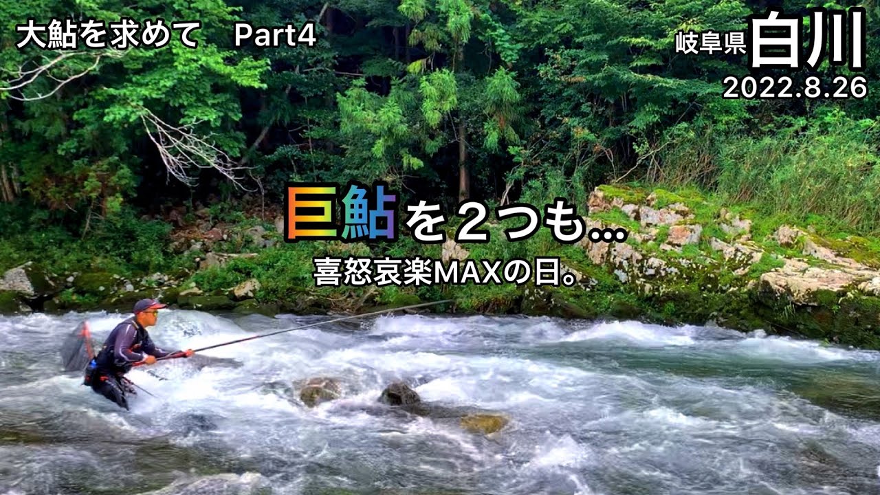 ⚠️怪我シーンあり（モザイクあり）【鮎釣り】白川（岐阜県）｜2022.8.26【友釣り】
