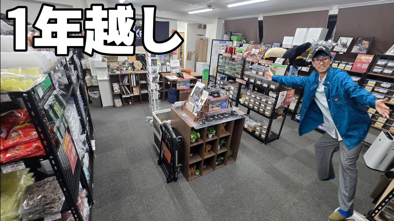 彗星の如く現れた美しすぎる昆虫ショップに久々お邪魔した