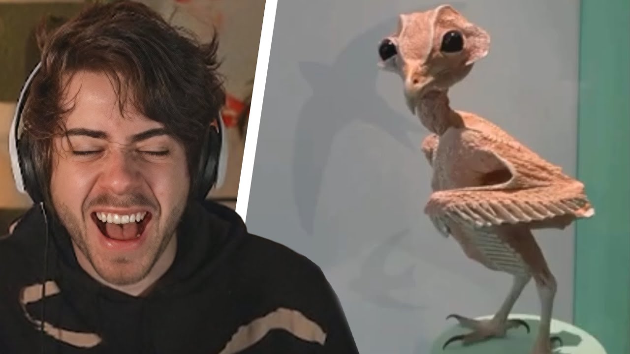 o reddit dos memes inesperados