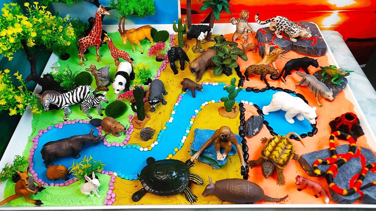 Learn the names of herbivorous, carnivorous and omnivorous animals-DIY Diorama-Video Encyclopedia