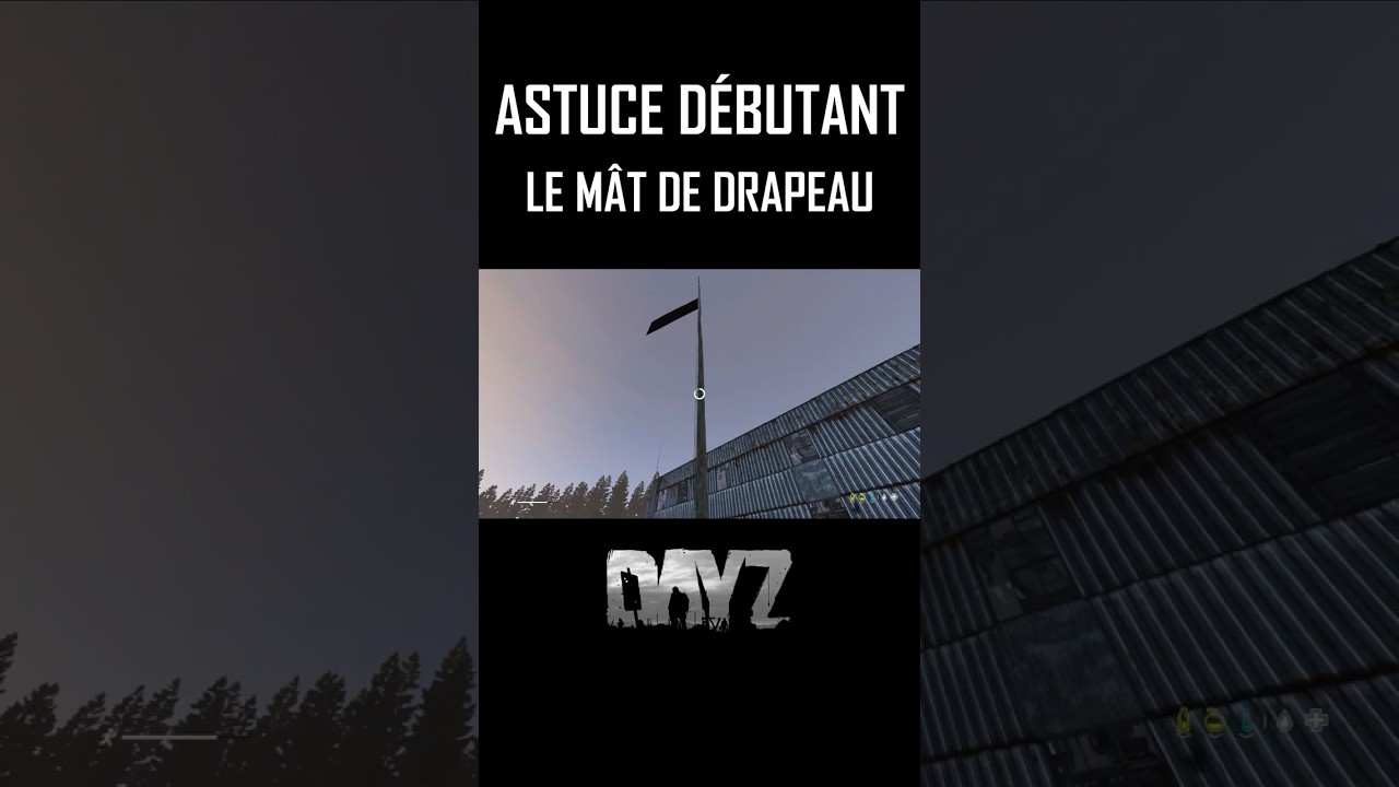 ALORS ? BESOIN D'UN DRAPEAU OU PAS ?! #dayz #base #vanilla #tuto