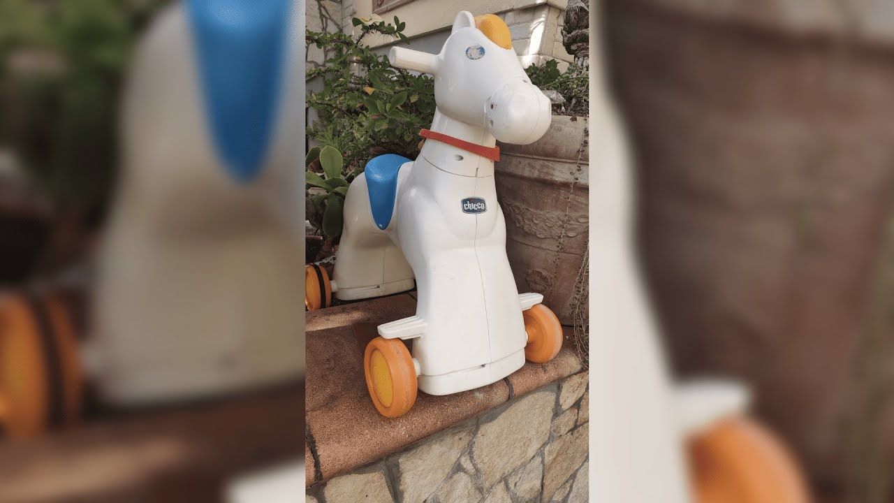 CAVALLO RODEO CHICCO