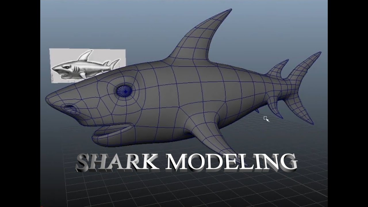 How to model shark in Maya 2018