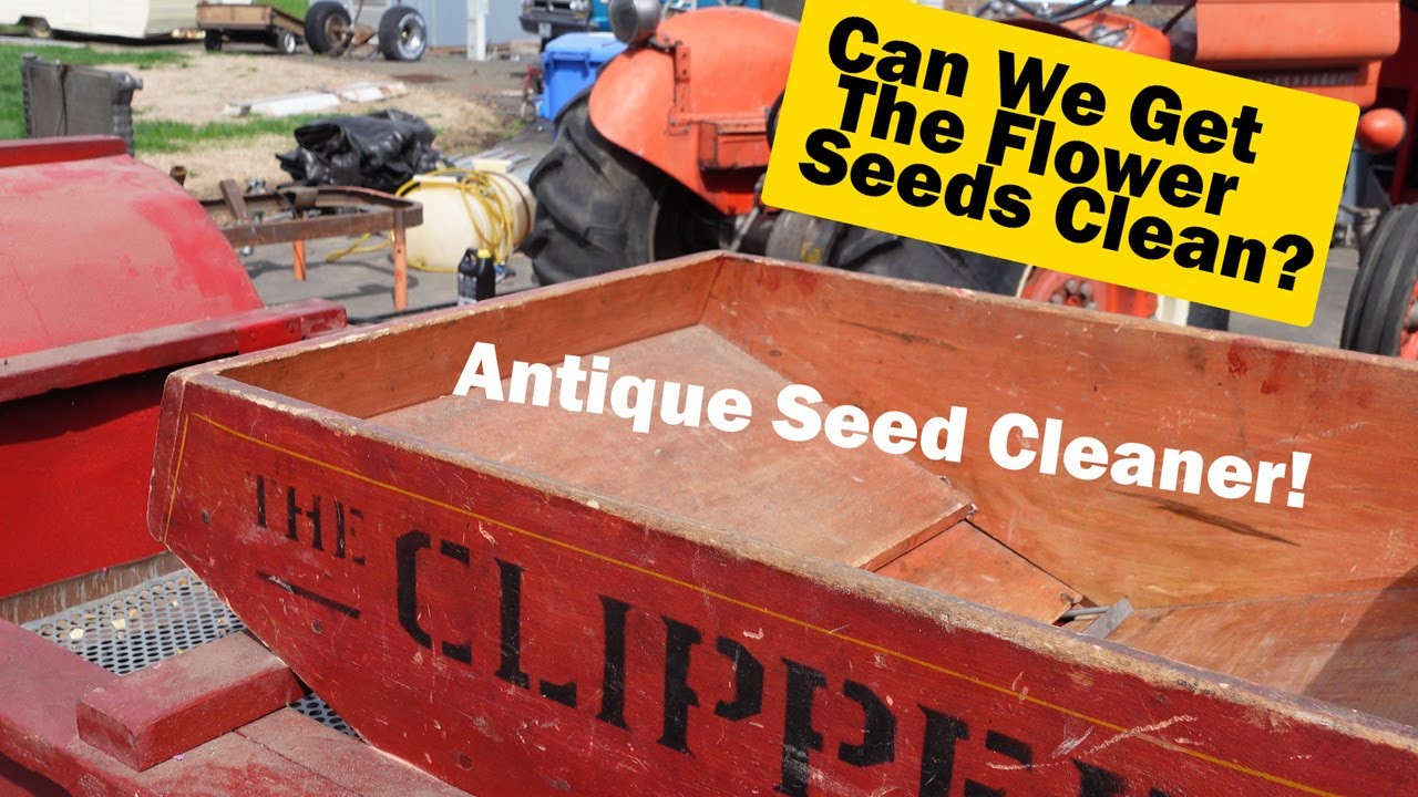 Flower Seed Cleaning! Antique THE CLIPPER Seed Cleaner. How We Clean Flower Seeds!