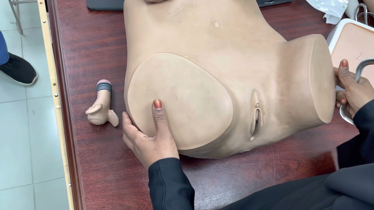 Sim’s Examination by Sultan