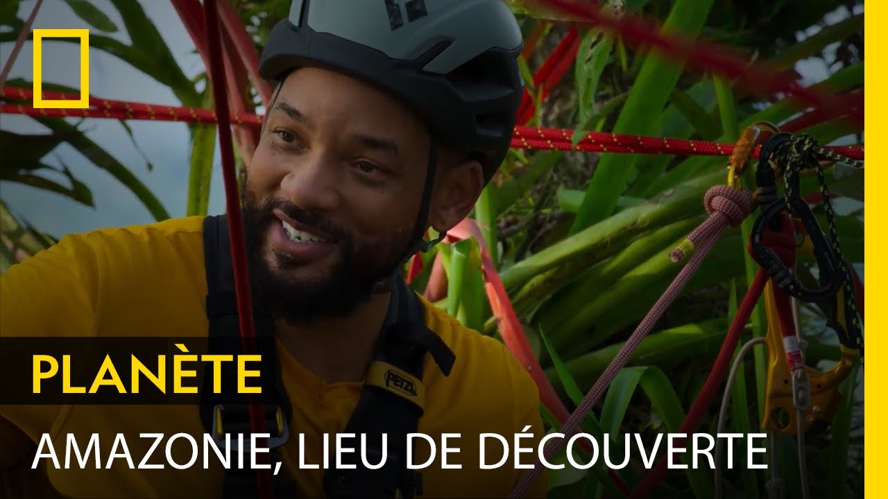 Amazonie, lieu de découverte de nouvelles espèces | POLE TO POLE AVEC WILL SMITH