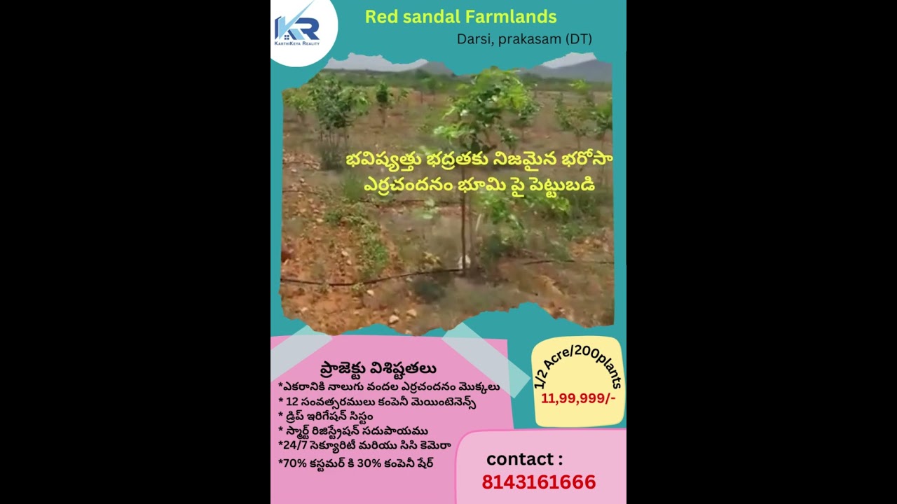 Red sandal FramLands