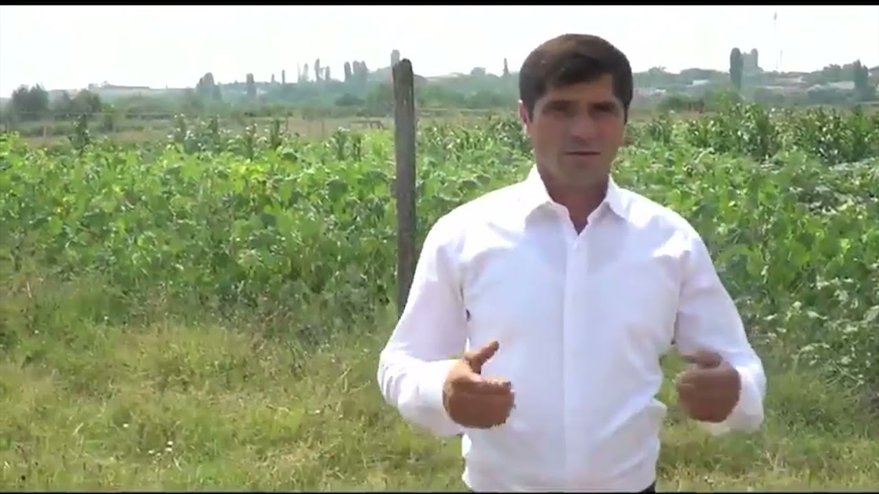 30 сентября 2021 г.