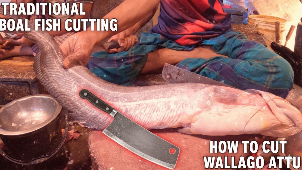 Boal Fish Cutting | Step-by-Step Wallago Attu Fish Cleaning and Cutting Guide