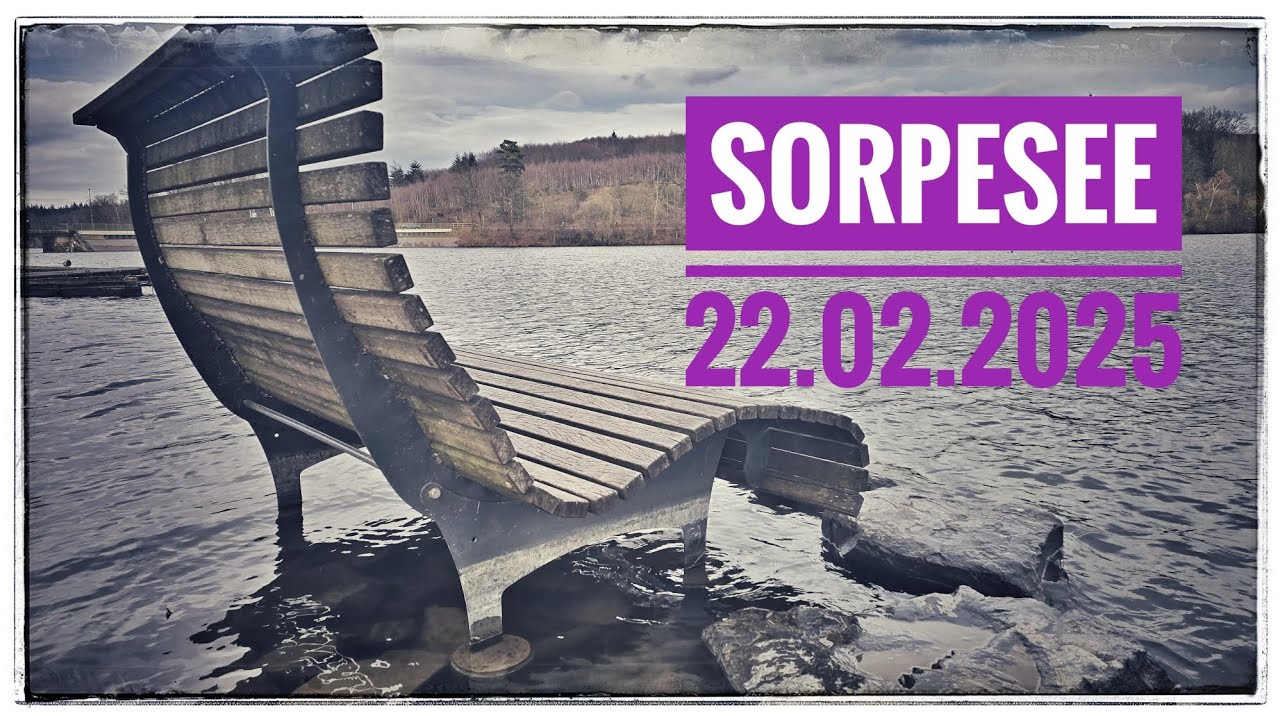 Sorpesee 22.02.2025 #dachzeltwoody #roadtrip #vanlife #sauerland