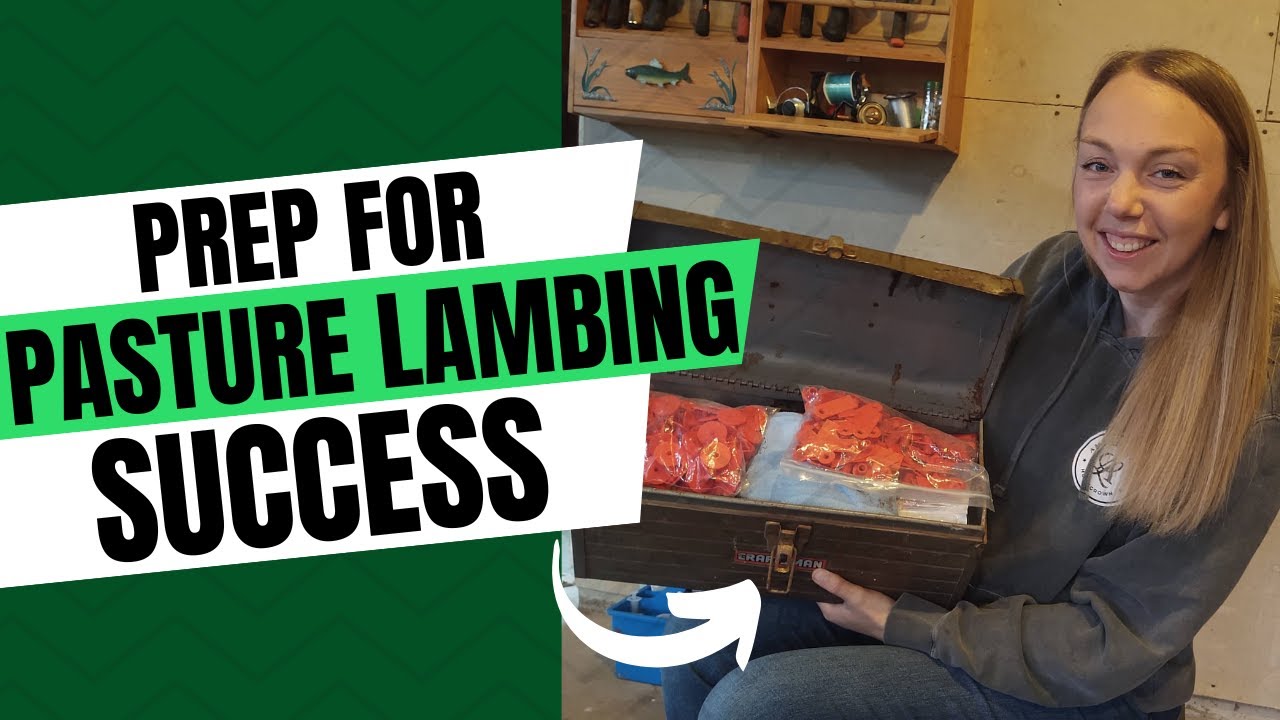 Lambing Kits for Pasture Lambing | Low-Input Sheep Farming | Lambing on Grass