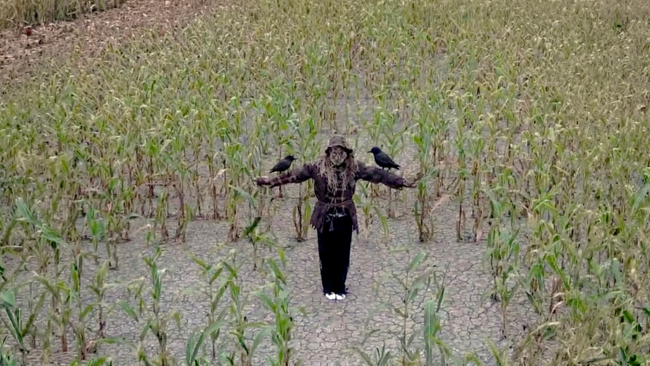 10 Times Drones Captured Something Disturbing