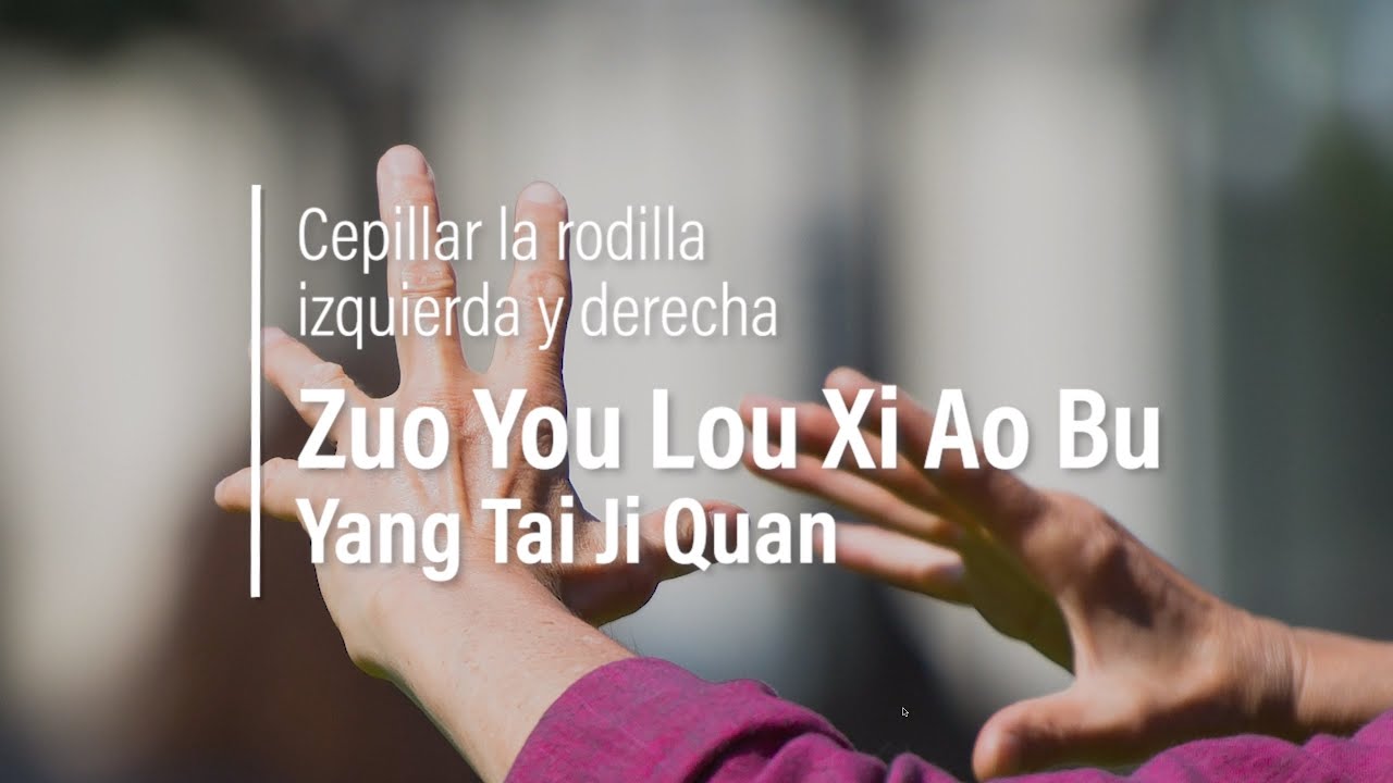 Hacer Tai Chi en casa: Cepillar rodilla (Yang Tai Ji Quan)