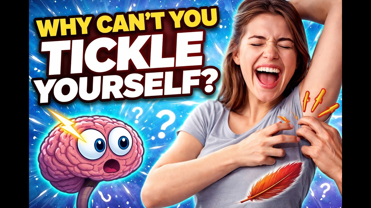 Why Can&rsquo;t You Tickle Yourself?