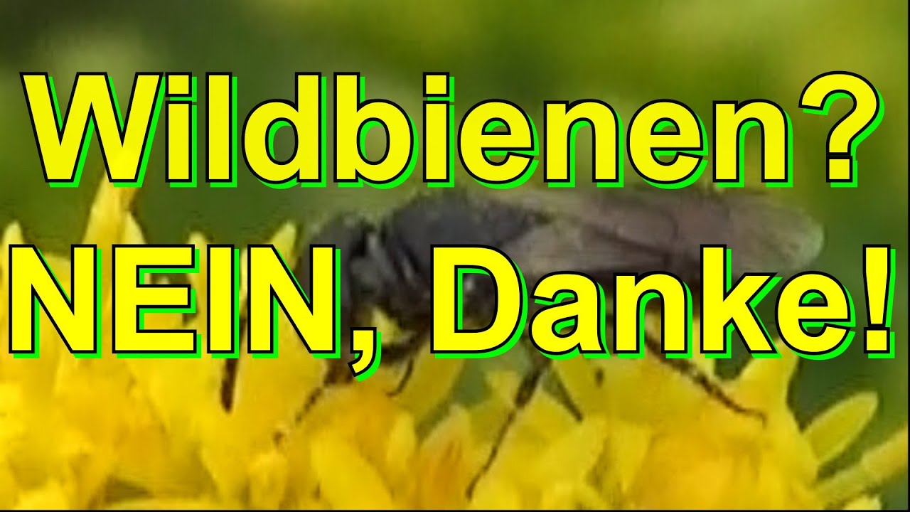 #Wildbienen? NEIN, Danke!