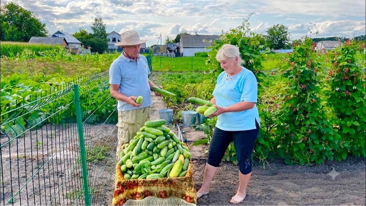 Slow Living in Ukraine: 🏡Tending the Garden and Caring for the Home.