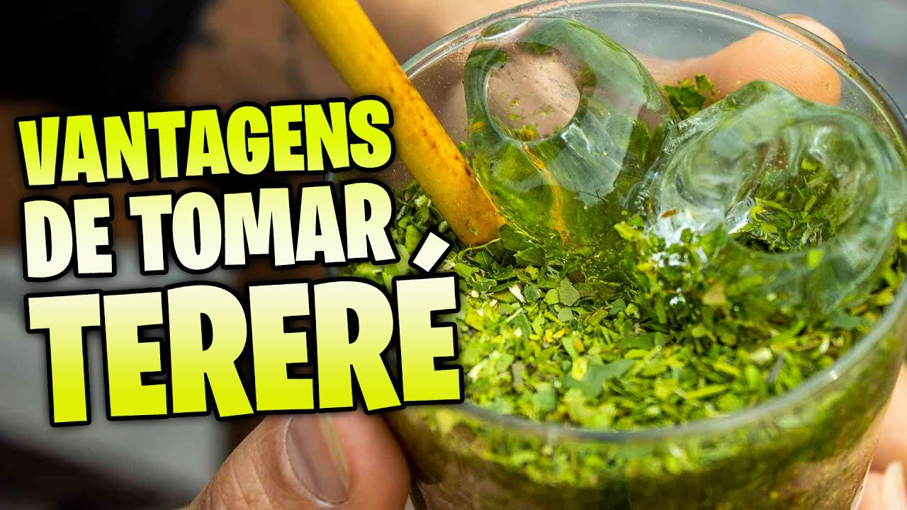 Tereré e seus Benefícios Terapêuticos: Descubra o Poder da Erva Mate