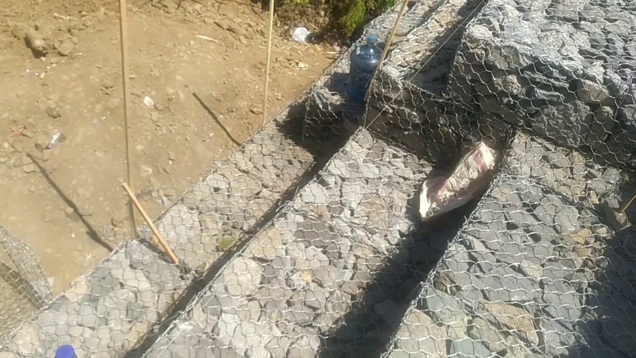 Proses Pemasangan Bronjong Makaveri