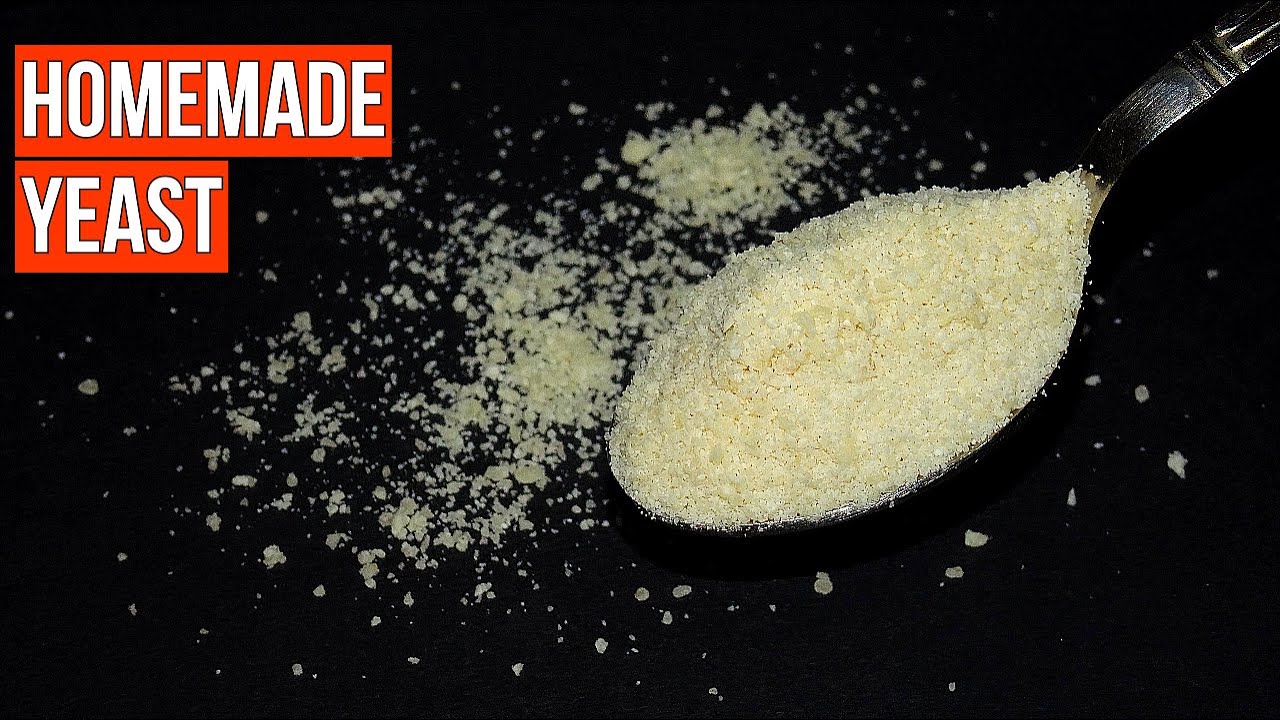 ஈஸ்ட் இனி வீட்டிலேயே செய்யலாம் | How to make Yeast at home | Yeast recipe in Tamil | English Subtitl
