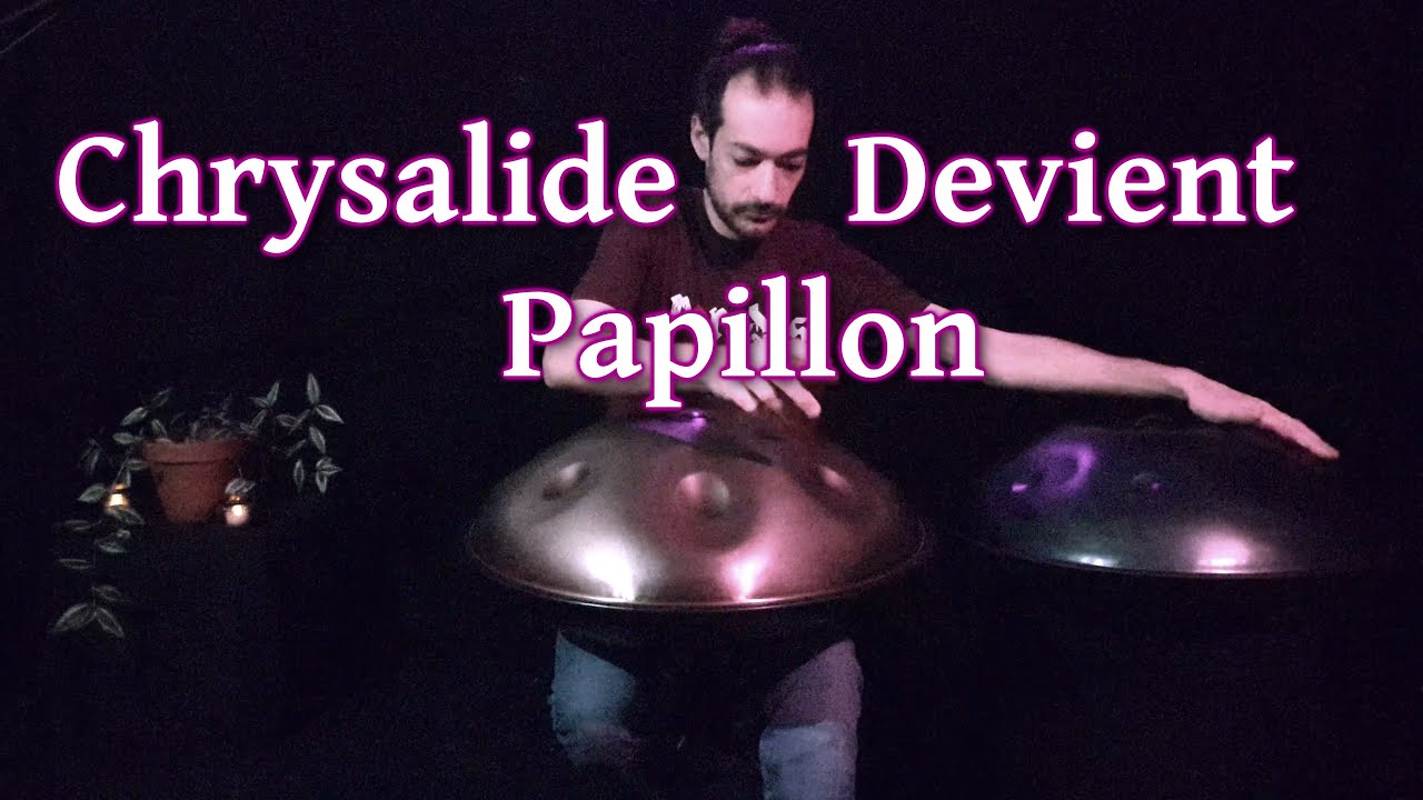 ''CHRYSALIDE DEVIENT PAPILLON'' - 
