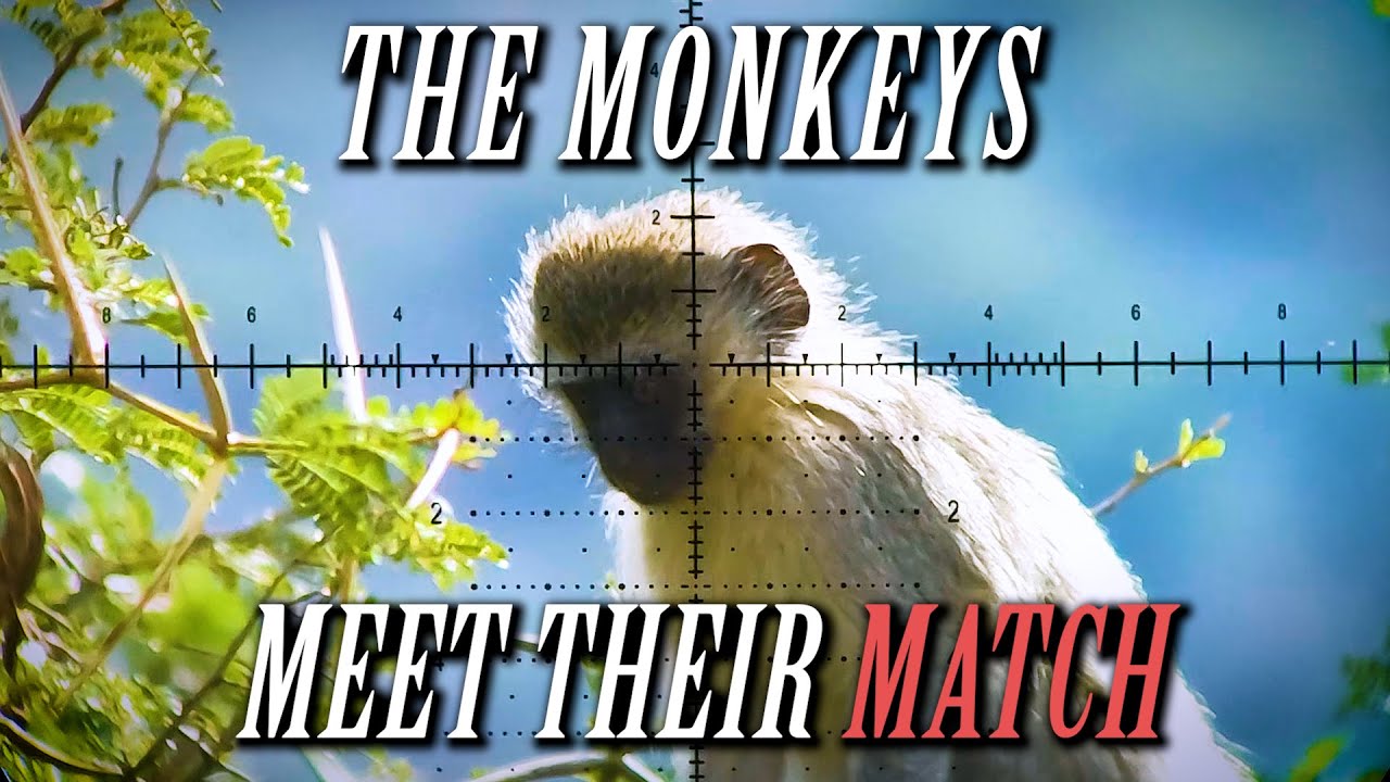 More INSANE Monkey & Baboon Hunting Action: 78 Shots in 4K (Volume 3)