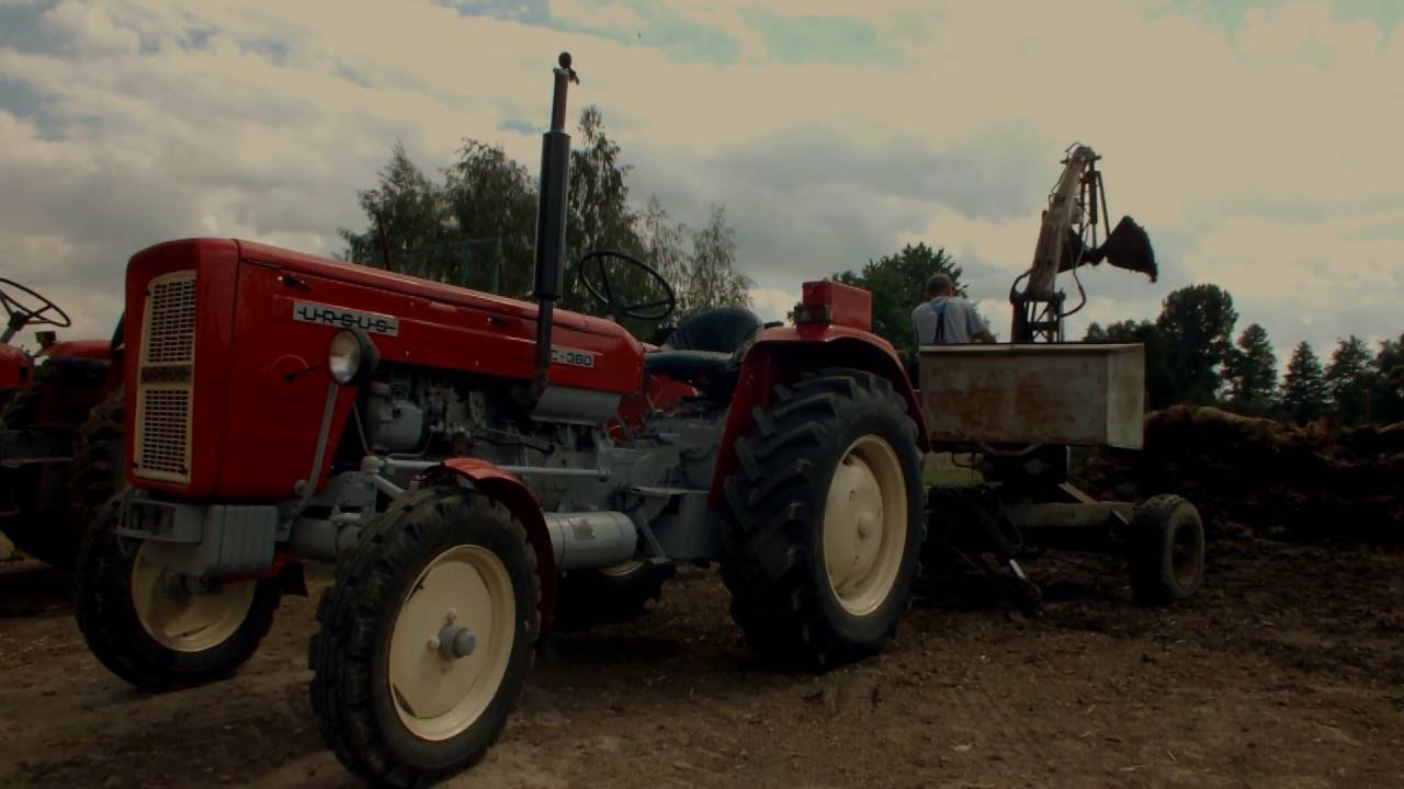 Ładowanie obornika 2016 [2x Ursus C-355, rozrzutnik, cyklop] Lubelskie Real Sound HD