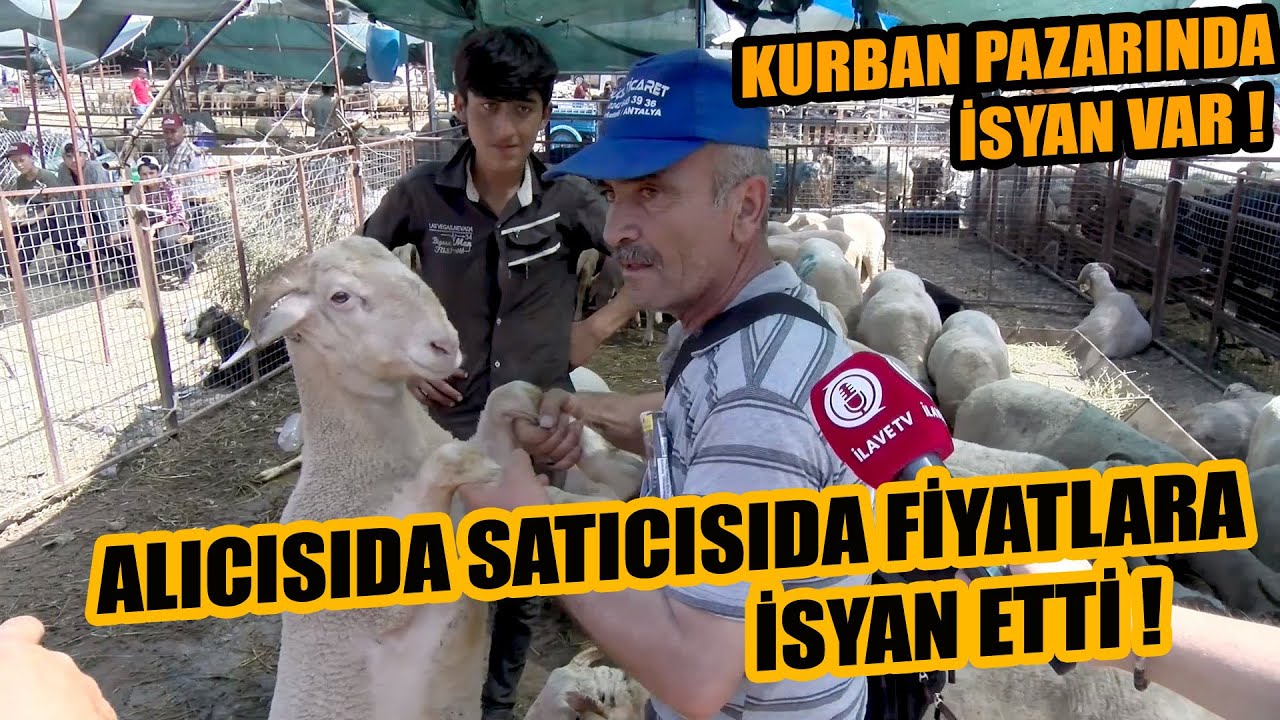 Kurban Pazarında İSYAN !!! Alıcısı da Satıcısı da İsyan Etti ! Batsak da Erdoğan Diyende var Tabi...
