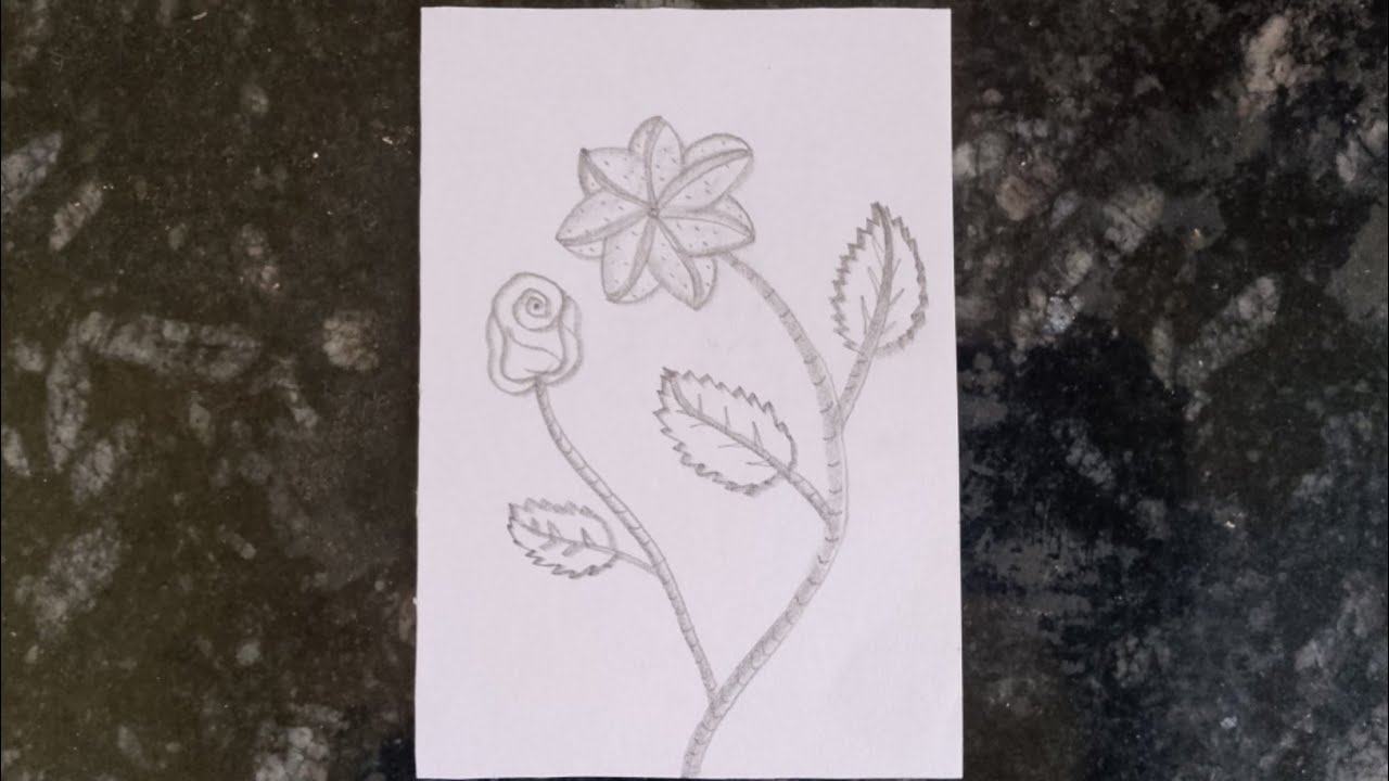 How To Draw Easy 'Flowar' Drawing Pencil Sketch ?#drawing #viral #video 