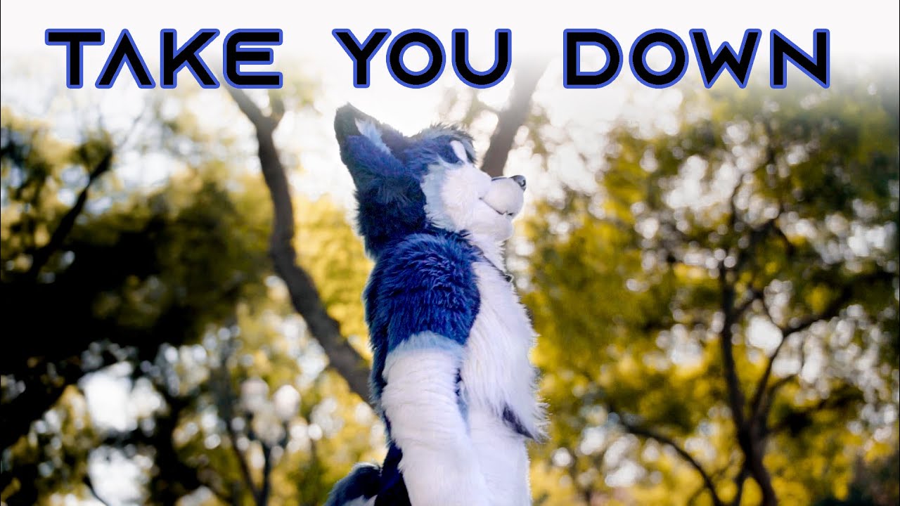 Take You Down
